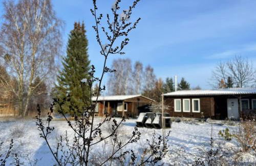 Haus 8 am Grimnitzsee mit Sauna - Photo 28