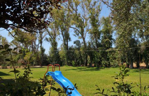 Sani Kasimis - Foto 42