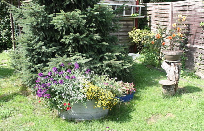 Wohnung mit Eigener Terrasse in Wismar - Foto 13