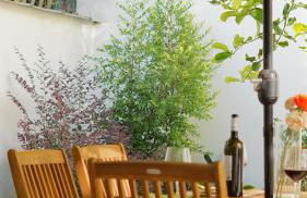 Domus Prete - Foto 23