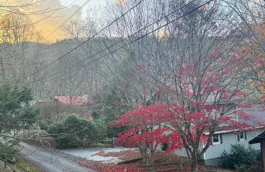 Bear Lodge Inn - Banner Elk Peaceful & Cozy Cabin Retreat - Foto 45