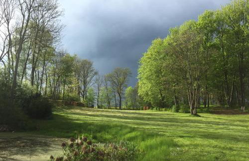 Blauer Salon - Foto 13