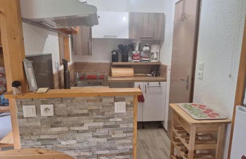 Quiet duplex with mountain view in Abondance - Foto 15