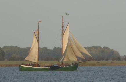 Gut-Rattelvitz-Galerie-D-hochwertig-Sauna-Kamin-eTankstelle-Spielscheune-15-000qm-Parkland - Photo 30