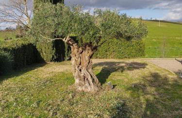 Villa luce e relax - Photo 8