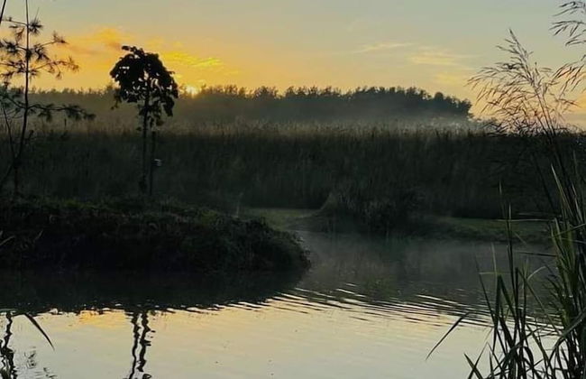 Middlehead Cottages at Cropton Forest - Foto 23