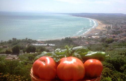 La casa di Nonna Clo, nel centro di Vasto - Foto 46