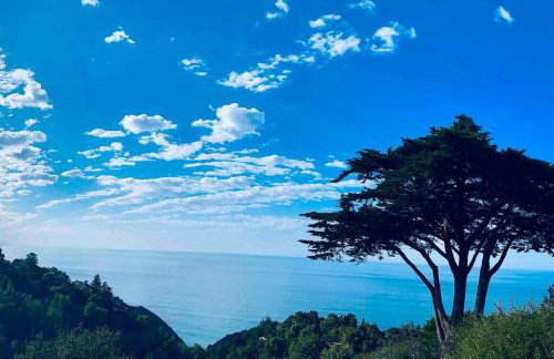 5 acres pool/spa, walk to all Big Sur has to offer - Foto 51