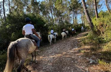 Casa da Mãe Ju - Foto 4
