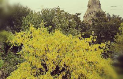 Claires Cottage - Photo 54