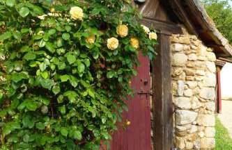 Les Gîtes de l'Orta - Foto 8