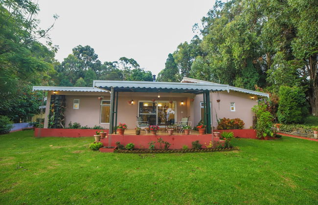 Rayne Forest - Foto 23