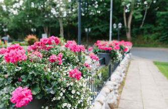 Villa Jesteburg - Foto 23