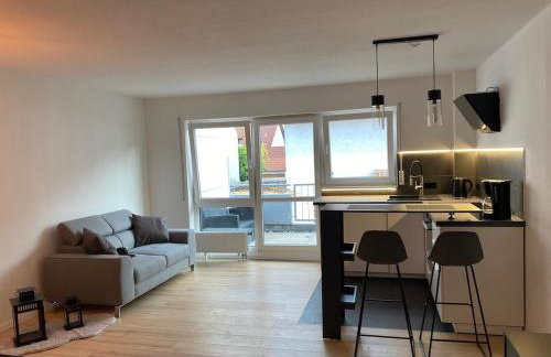 Renovated, cozy 1-room apartment with balcony - Foto 10