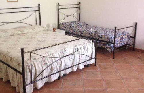 La pineta - Foto 9