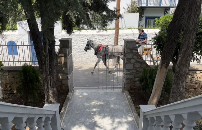 The Elegant Summer House - Foto 27