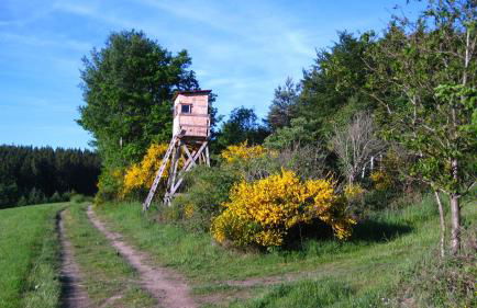 FeWo Marita - Foto 26