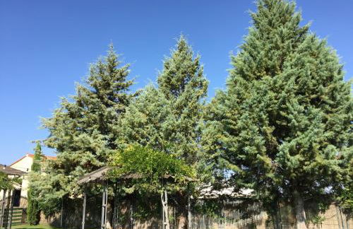 Apartamentos Atalayas Extremadura - Foto 39