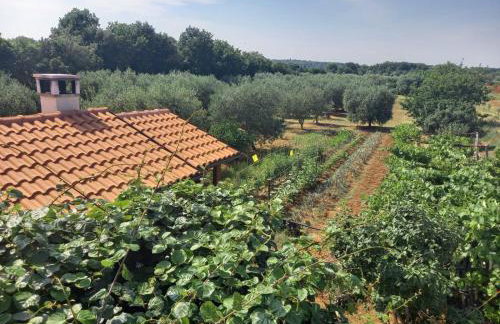 Edensk vrt classic!!i - Foto 10