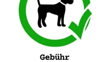 Waldblick Ferienwohnungen - Foto 2