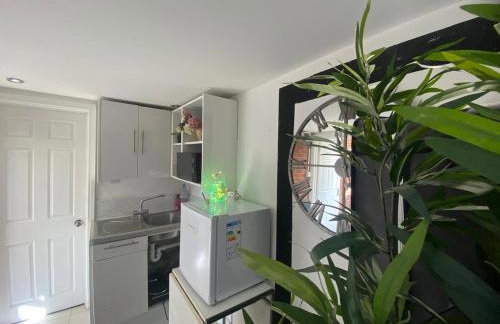 1 Bedroom studio - Photo 21