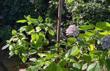 Villino Serena Di Lapigio Firenze - Foto 22