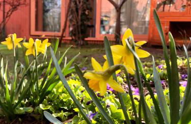 Tiny House in Berlin Rummelsburg - Photo 15