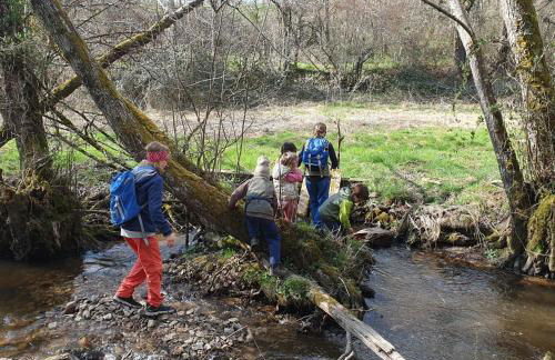 Lovely rural and quiet farmhouse with natural swimming lake - Foto 14