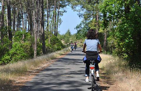 Salamandre et Hippocampe - Foto 36