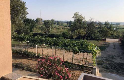 Dan's Apartment - Foto 11