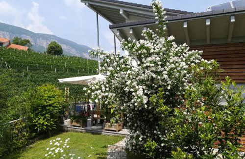 Casa Clima Tandem - Foto 11