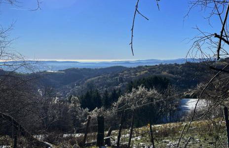 La casa nel bosco - Foto 22