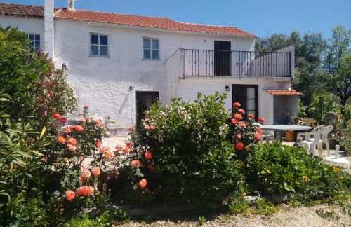 Casa de Alagoa - Foto 15