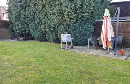 Blütenzauber Apartment No 4 - Photo 25