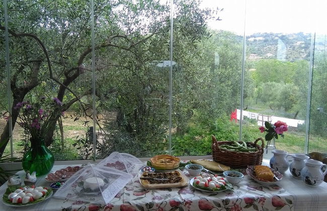 La Gabbianella e il Gatto - Foto 17