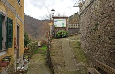 Country House - Foto 17