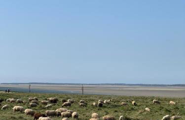 Gîte du Flot - Baie de Somme - Foto 20