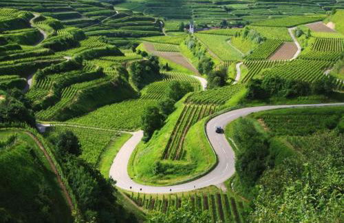 Holiday Apartment Monet in Oberrotweil - Foto 60