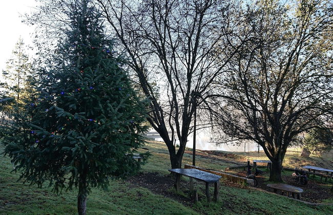 Cabañas Sierra del Tecuan - Foto 10