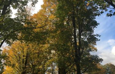 Ferienwohnungen Alpentraum - Landhaus am Bächle - Photo 40