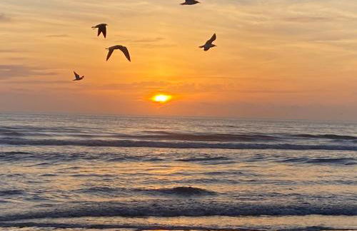 I Need A Vacay Now! Remodeled Studio - Foto 16