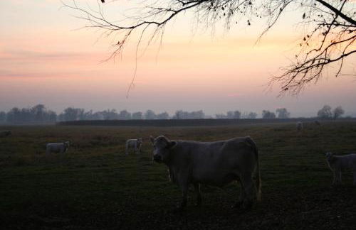 Villa Lea Lee - Foto 2