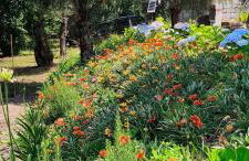 Casa Nova das Oliveiras - Foto 15