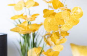 Warwick West - Foto 42