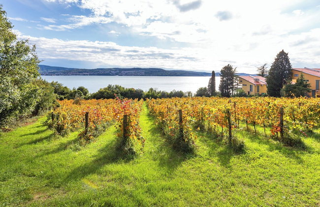 House In The Vineyards - Foto 30