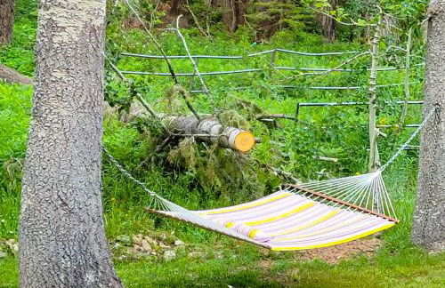 A Bear's Rest - Foto 24