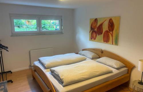 Jagstidyll bei Heilbronn Audi Lidl - Foto 5