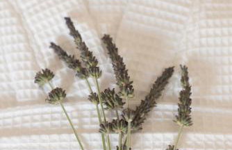 Calme Suites Mani - Foto 63