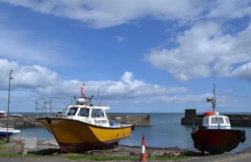 Bramble Cottage - Foto 19