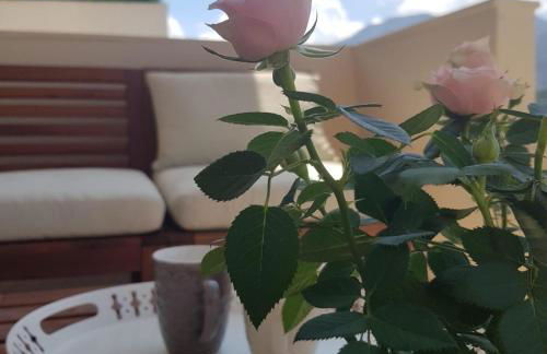 Katy's Luxury Apartments - Photo 22